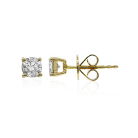 Orecchini in oro con Diamante I1 (H) (CIRARI)