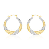 Orecchini in oro