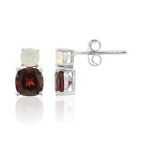 Orecchini in argento con Granato