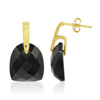 Orecchini in argento con Onice Nero
