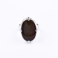 Anello in argento con Legno Fossile