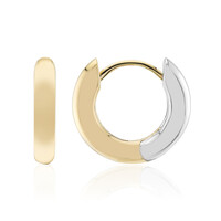 Orecchini in argento