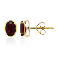 Orecchini in oro con Rubellite (Tenner Diniz)