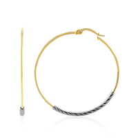 Orecchini in argento