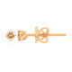 Orecchini in oro con Diamante Rose de France SI1 di Argyle (Annette)