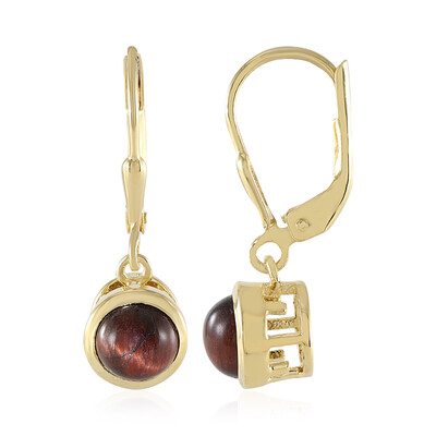 Orecchini in argento con Occhio di Tigre Rosso