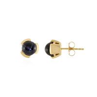 Orecchini in argento con Diopside Stellato d'India