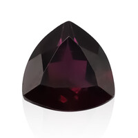 Rodolite