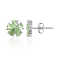Orecchini in argento con Tsavorite
