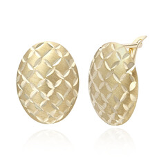 Orecchini in oro