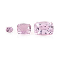 Gemma con Kunzite 11,709 ct