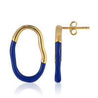 Orecchini in argento