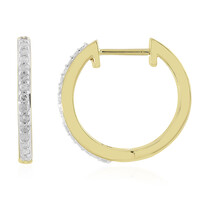 Orecchini in oro con Diamante I4 (J)