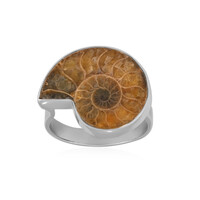 Anello in argento con Ammonite