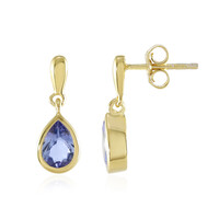 Orecchini in argento con Tanzanite