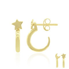 Orecchini in argento