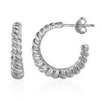 Orecchini in argento