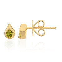 Orecchini in oro con Pallavin del Kansas