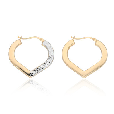 Orecchini in argento