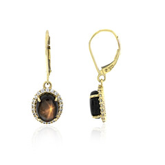 Orecchini in oro con Zaffiro Stellato Nero
