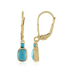 Orecchini in argento con Turchese Sleeping Beauty