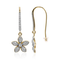 Orecchini in oro con Diamante SI1 (G)