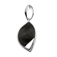 Ciondolo in argento con Quercia Nera