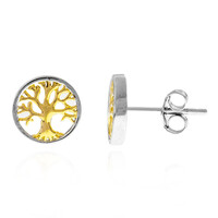 Orecchini in argento