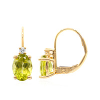 Orecchini in oro con Peridoto Dashihe