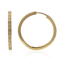 Orecchini in argento con Zircone