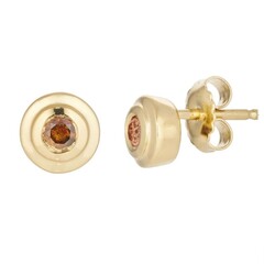 Orecchini in argento con Diamante Rosso I2