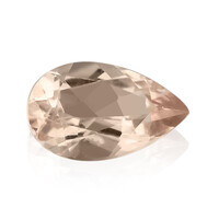 Gemma con Morganite Pesca