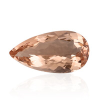 Gemma con Morganite Pesca