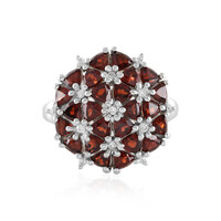 Anello in argento con Granato Mozambico