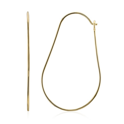 Orecchini in argento