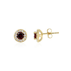 Orecchini in argento con Rodolite Lampone