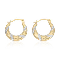 Orecchini in oro