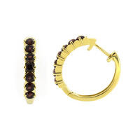 Orecchini in argento con Rodolite