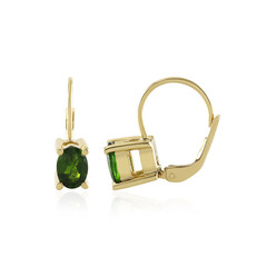Orecchini in argento con Diopside Russo
