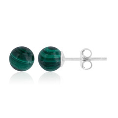 Orecchini in argento con Malachite