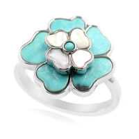 Anello in argento con Turchese Campitos (Anne Bever)