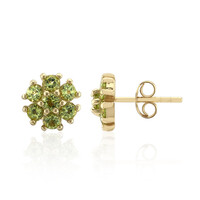 Orecchini in argento con Peridoto della Birmania