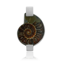 Ciondolo in argento con Ammonite