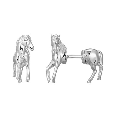 Orecchini in argento