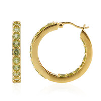Orecchini in argento con Peridoto della Birmania