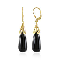 Orecchini in argento con Onice Nero