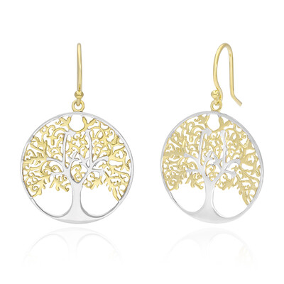 Orecchini in argento