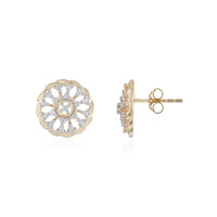 Orecchini in oro con Diamante SI1 (H)