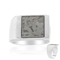Anello in argento con Meteoriti di Aletai