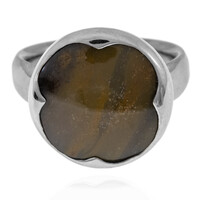 Anello in argento con Legno Fossile